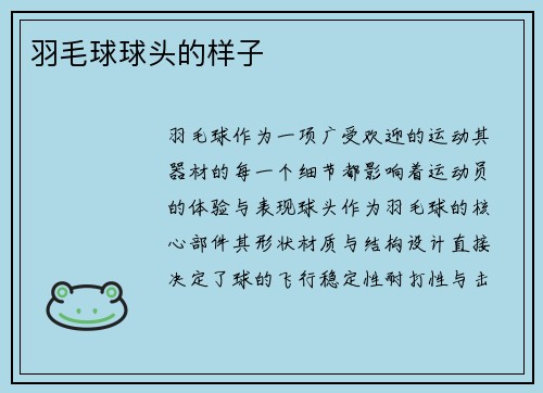 羽毛球球头的样子